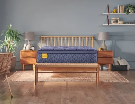blue sealy mattress